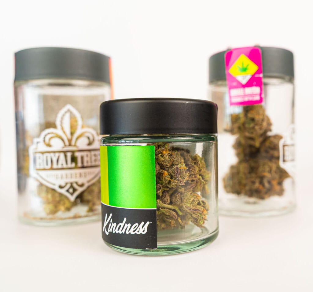 green roads cannabis website shoot 02.2025 02255