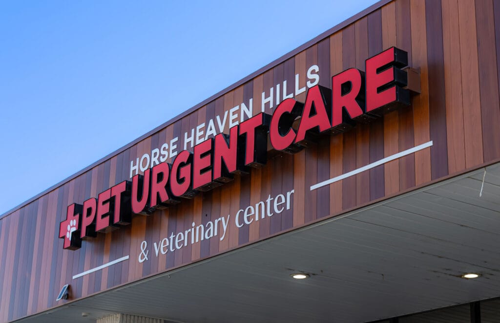 pet orthopedics website photoshoot 04.2025 09119