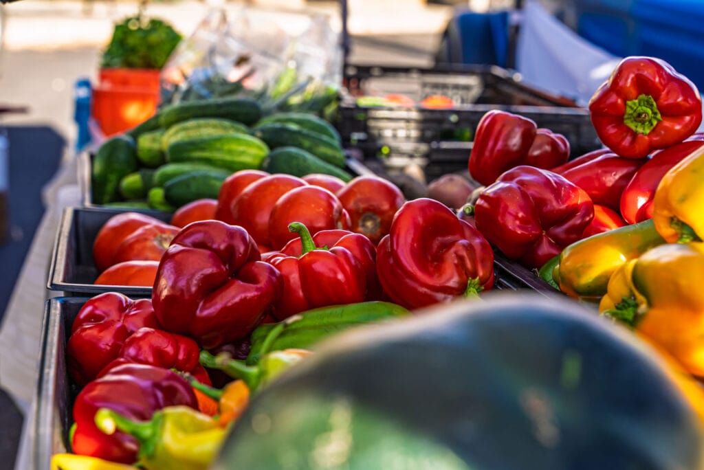tour prosser harvest festival shoot 09.27.2025 00474